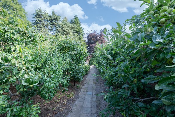 Medium property photo - Sint Maartenstraat 10, 4735 TD Zegge